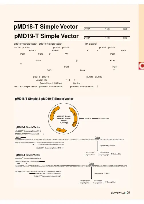 pMD18-T
