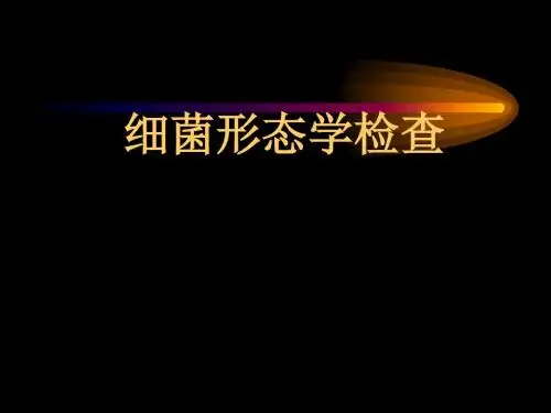 【生物课件】细菌形态学检查