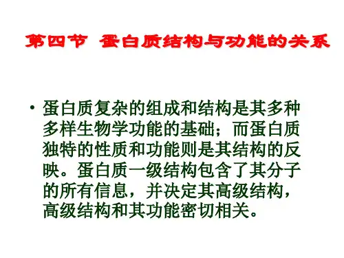 第六章蛋白质结构与功能的关系