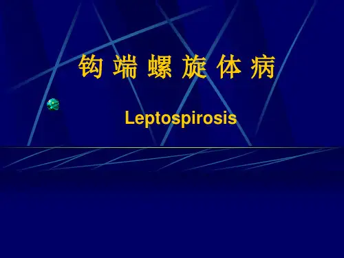 传染病学：钩 端 螺 旋 体 病