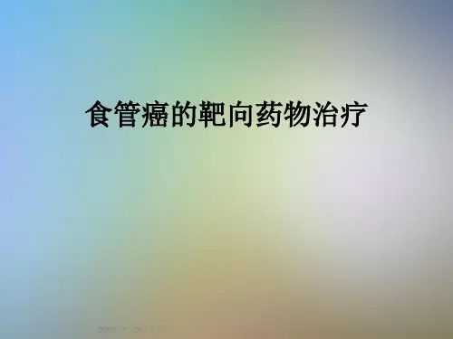 食管癌的靶向药物治疗