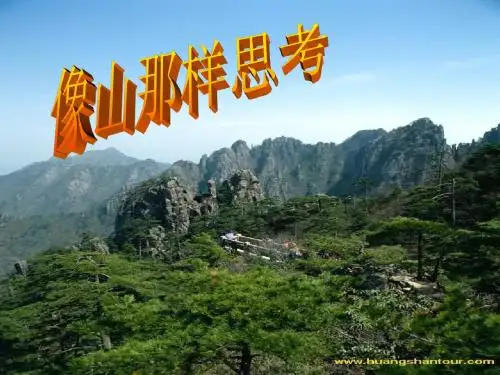 《像山那样思考》(共29张PPT)