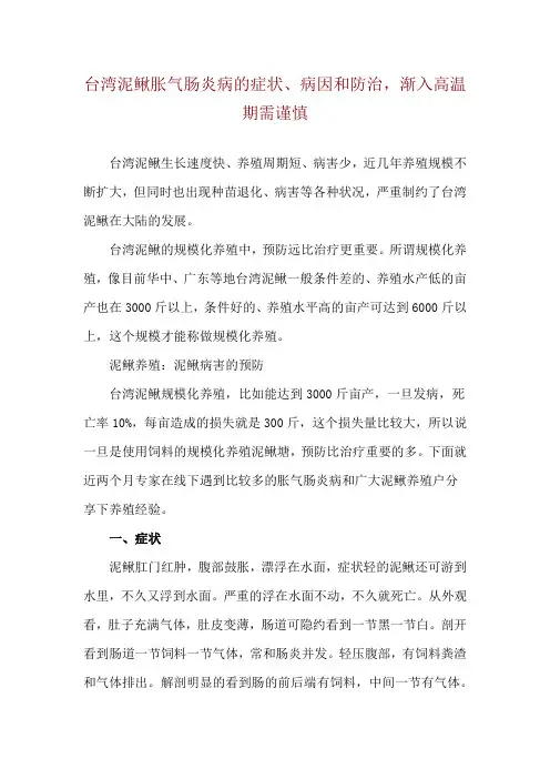 台湾泥鳅胀气肠炎病的症状、病因和防治,渐入高温期需谨慎