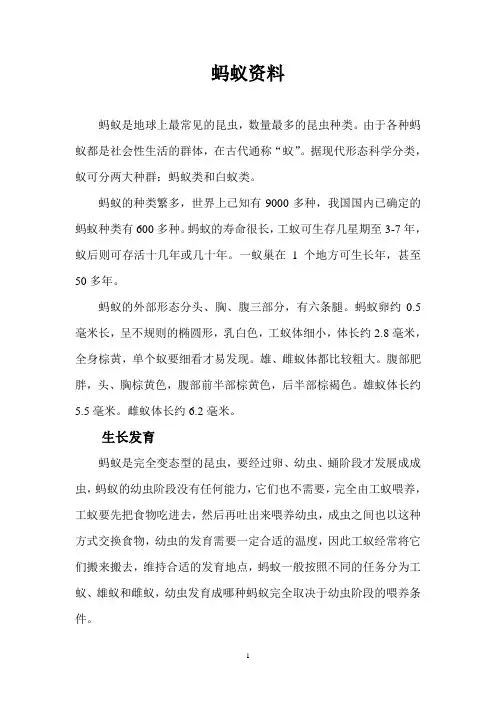 蚂蚁资料