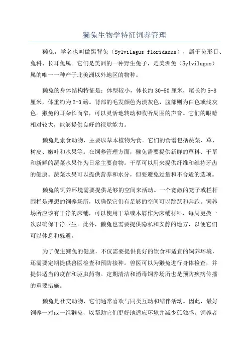 獭兔生物学特征饲养管理