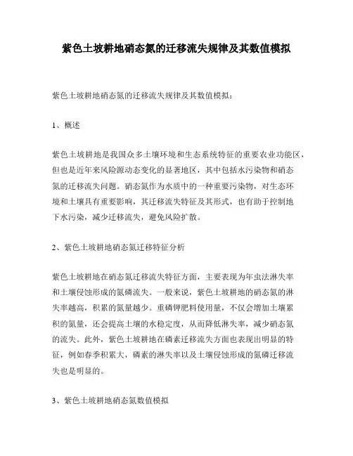 紫色土坡耕地硝态氮的迁移流失规律及其数值模拟