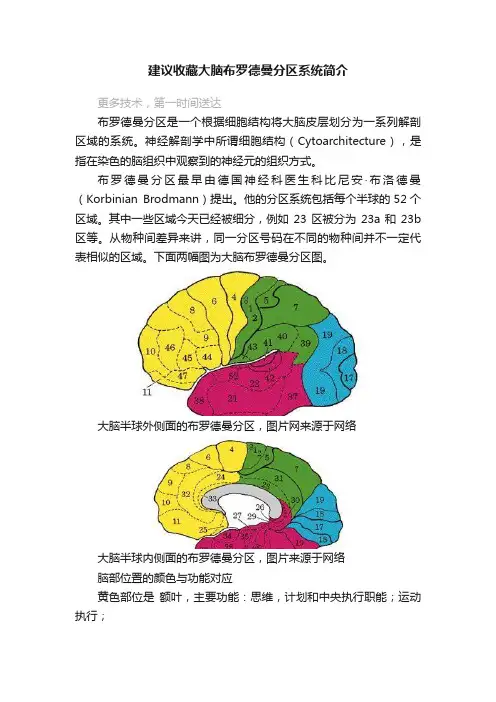 建议收藏大脑布罗德曼分区系统简介