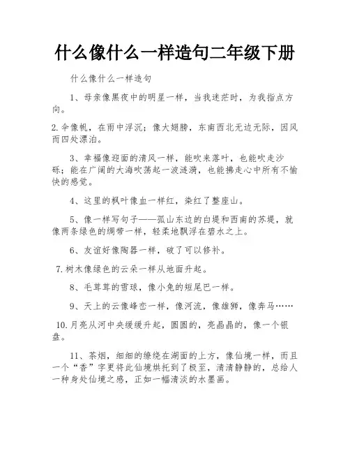 什么像什么一样造句二年级下册