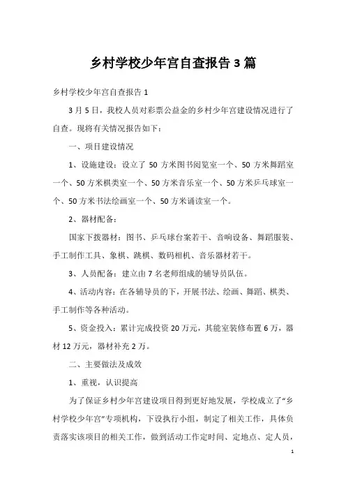 乡村学校少年宫自查报告3篇
