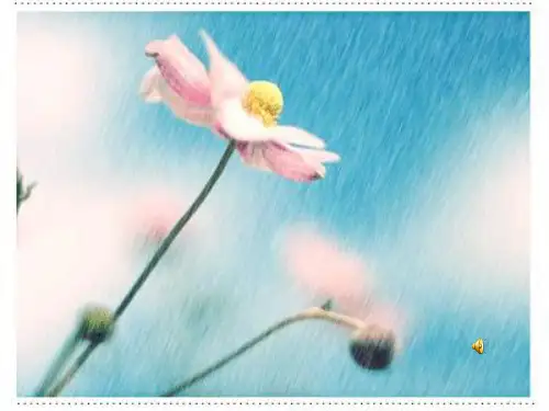 下雨天,真好胡涛涛PPT课件