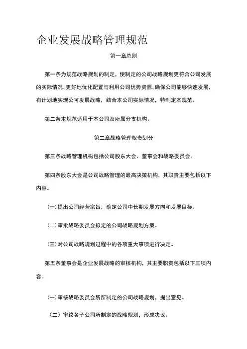 企业发展战略管理规范全