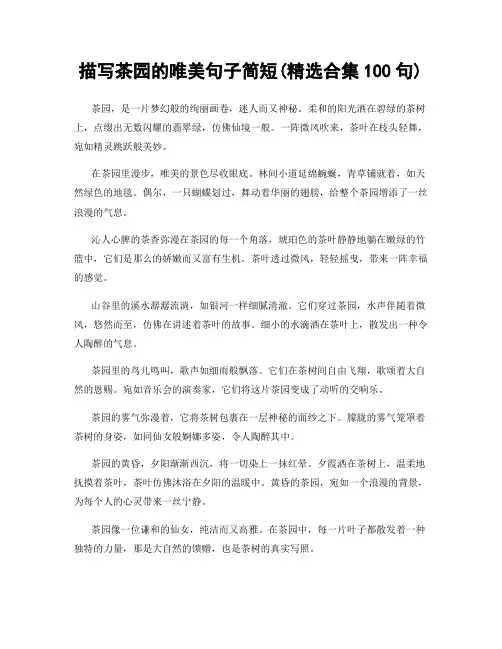 描写茶园的唯美句子简短(精选合集100句)
