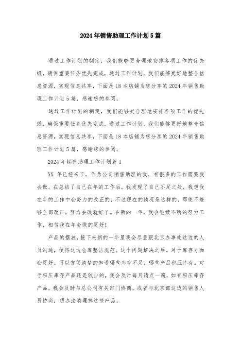 2024年销售助理工作计划5篇