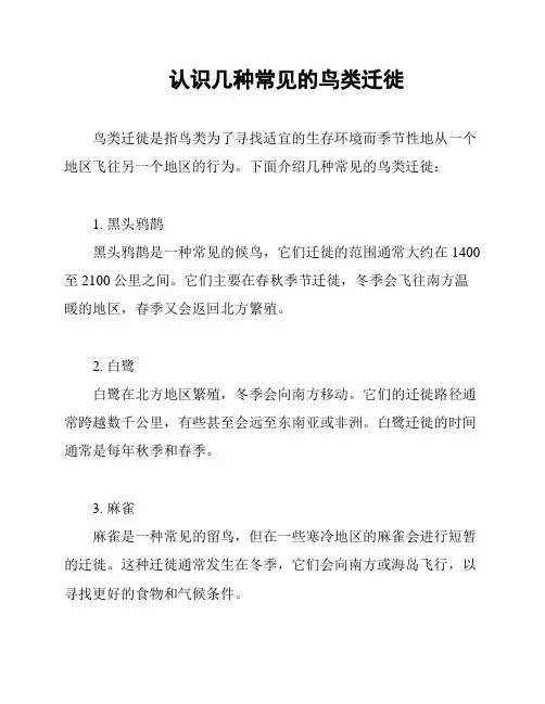 认识几种常见的鸟类迁徙