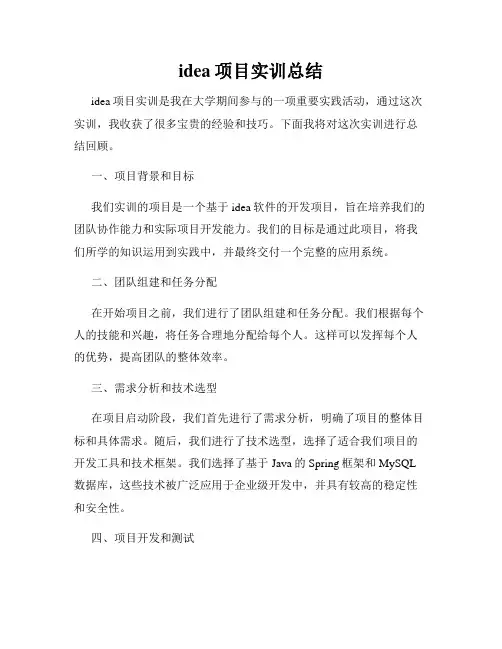 idea项目实训总结