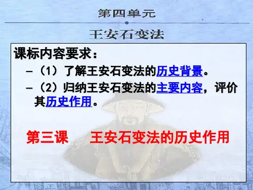 第3课 王安石变法的历史作用 (2)