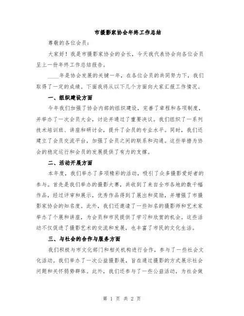 市摄影家协会年终工作总结