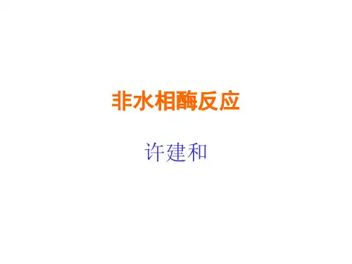 非水相反应2011