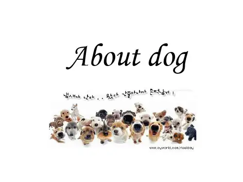 介绍各种狗狗的英文ppt(含图片)