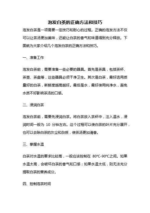 泡发白茶的正确方法和技巧