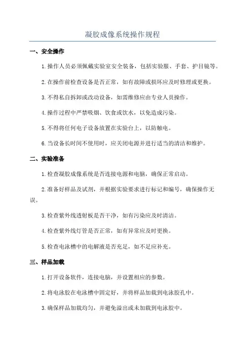 凝胶成像系统操作规程