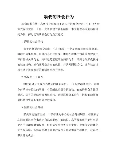 动物的社会行为