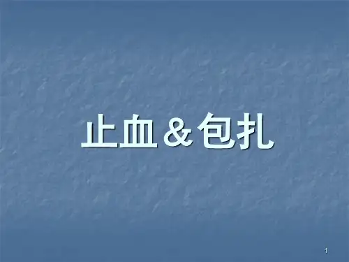 止血包扎ppt课件