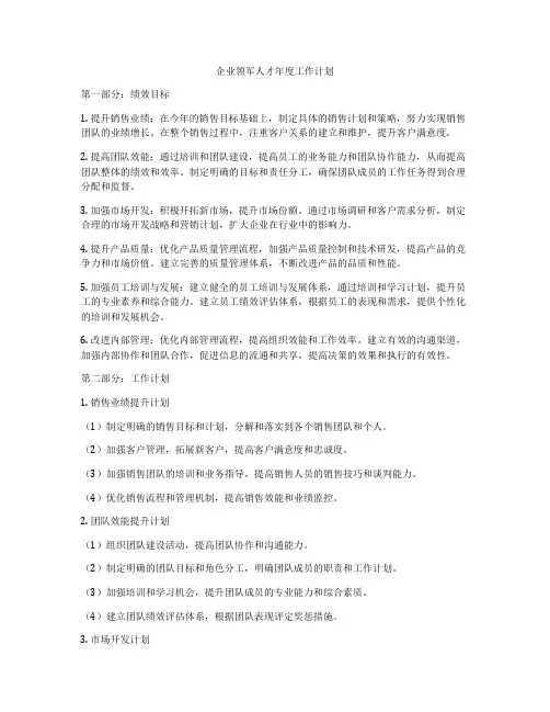 企业领军人才年度工作计划