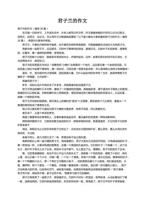 君子兰的作文（通用28篇）
