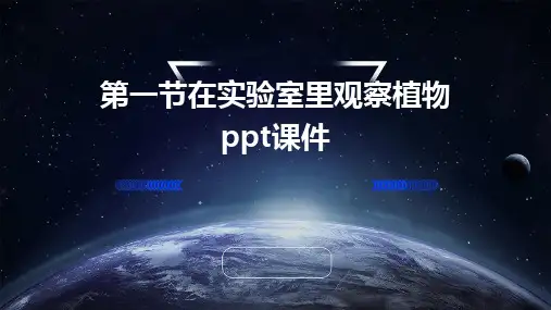 2024版第一节在实验室里观察植物ppt课件