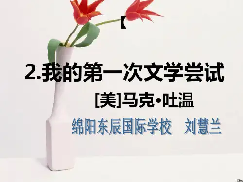 我的第一次文学尝试课件