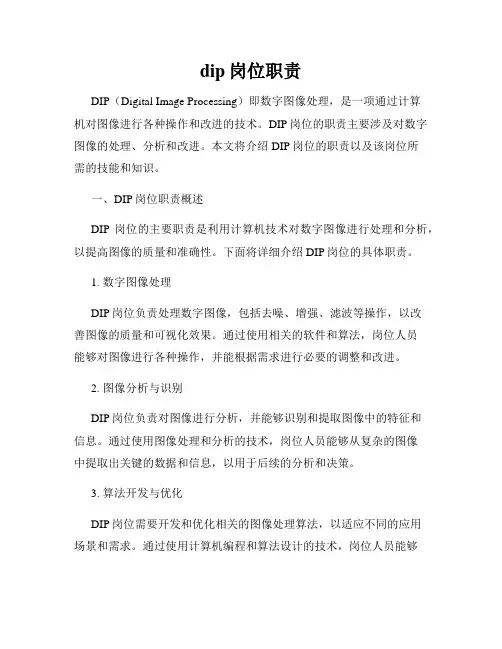 dip岗位职责