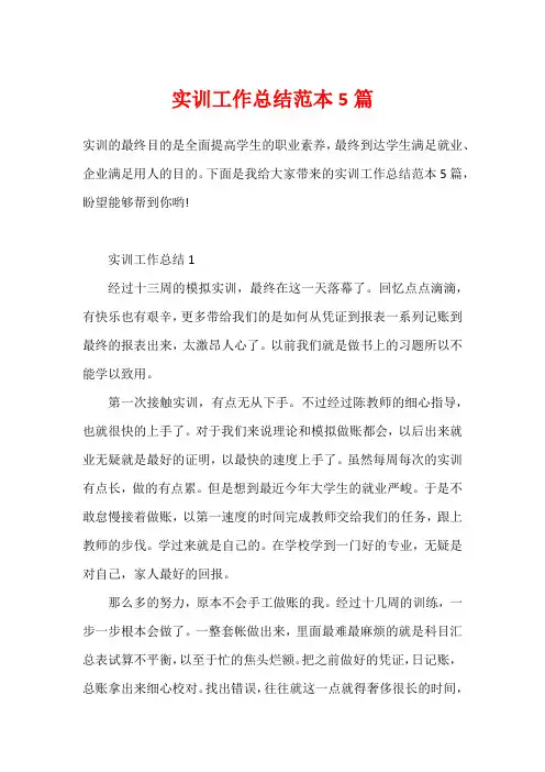 实训工作总结范本5篇