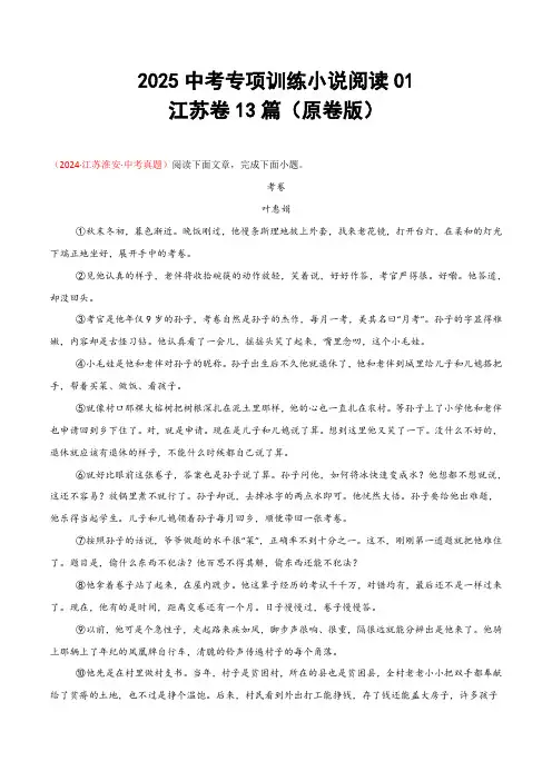 2025中考专项训练小说阅读01 江苏卷13篇(原卷版)
