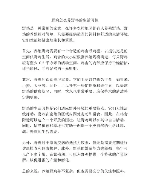 野鸡怎么养野鸡的生活习性