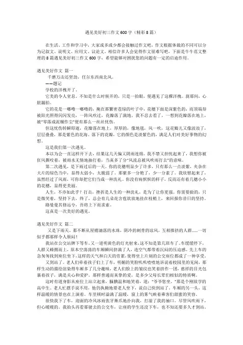 遇见美好初三作文600字(精彩8篇)