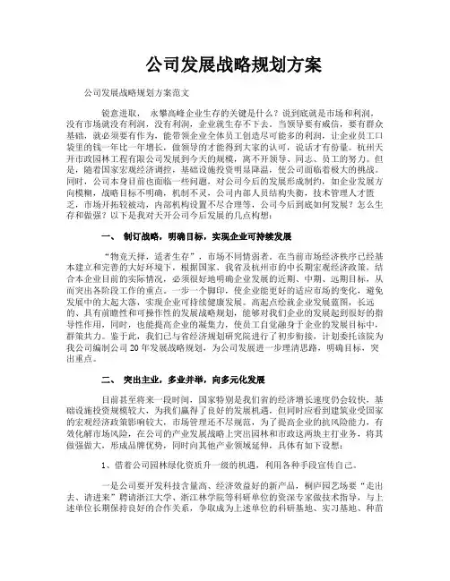 公司发展战略规划方案