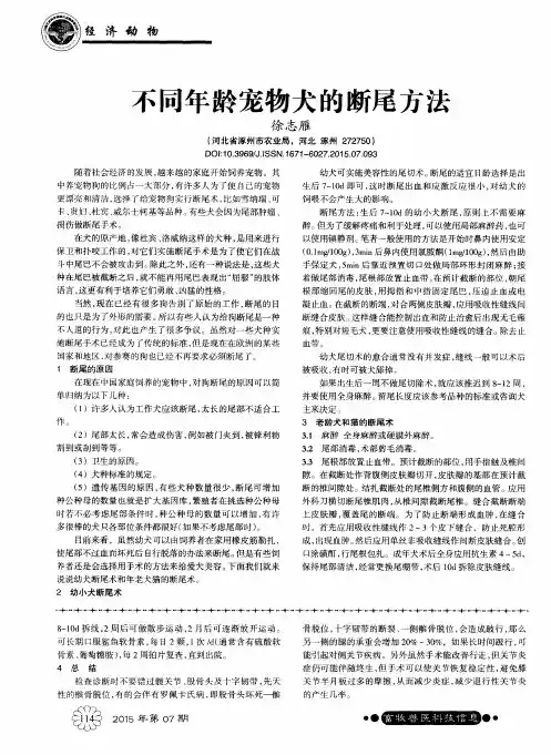 不同年龄宠物犬的断尾方法