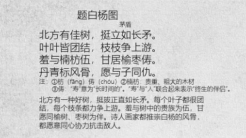 《白杨礼赞》(教学课件)-初中语文人教部编版八年级上册