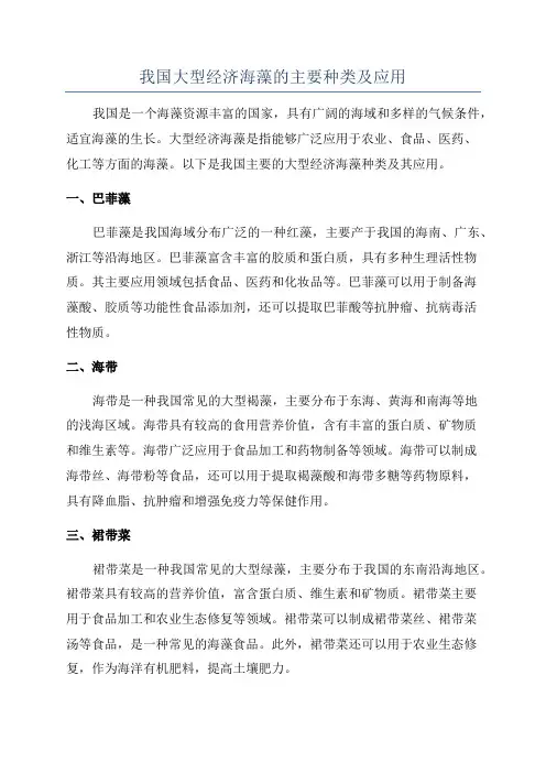 我国大型经济海藻的主要种类及应用
