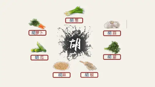 第14课 丝绸之路的开通与经营西域 课件.ppt