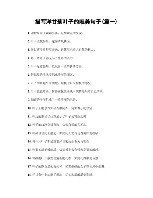 描写洋甘菊叶子的唯美句子(精选合集2篇)
