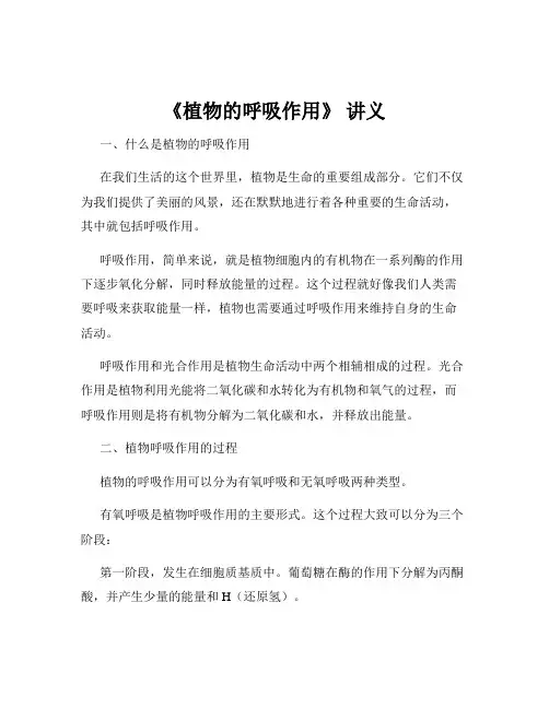 《植物的呼吸作用》 讲义