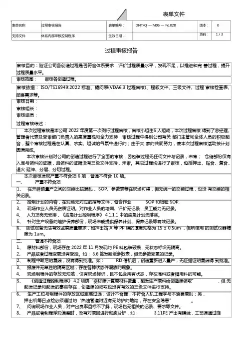 过程审核报告