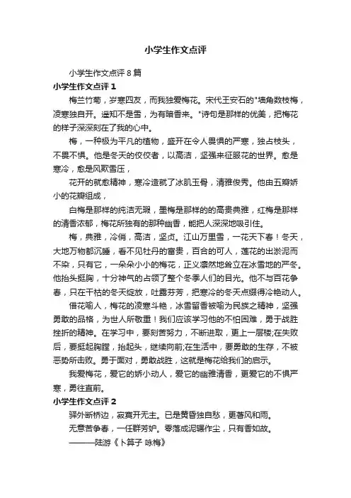 小学生作文点评