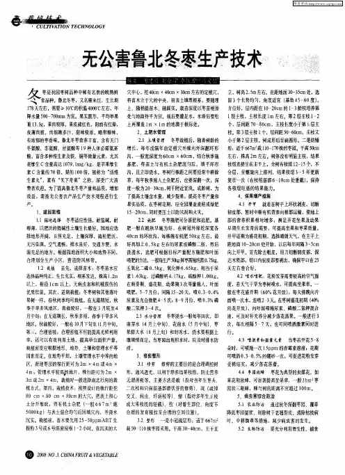 无公害鲁北冬枣生产技术