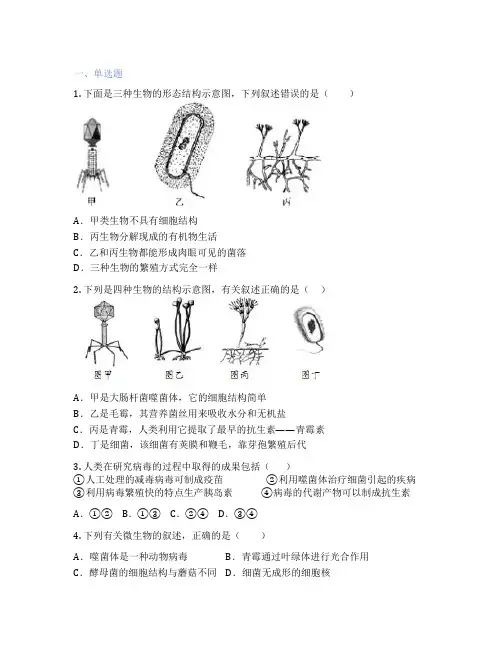 人教版生物 八年级上册 第五章 病毒 课后练习题