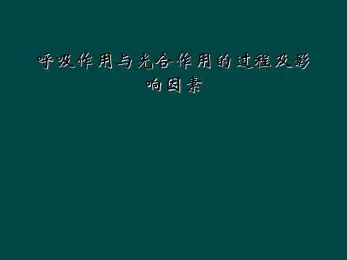 呼吸作用与光合作用的过程及影响因素