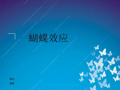 蝴蝶效应