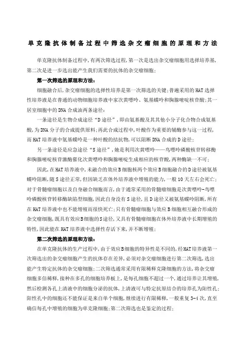单克隆抗体制备中筛选杂交瘤细胞的原理